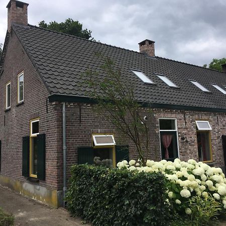 Vakantiehuis In Het Voorhuis Dommelen Exteriör bild