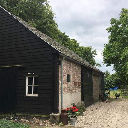 Vakantiehuis In Het Voorhuis Dommelen Exteriör bild